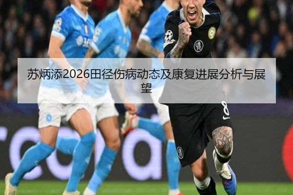 苏炳添2026田径伤病动态及康复进展分析与展望