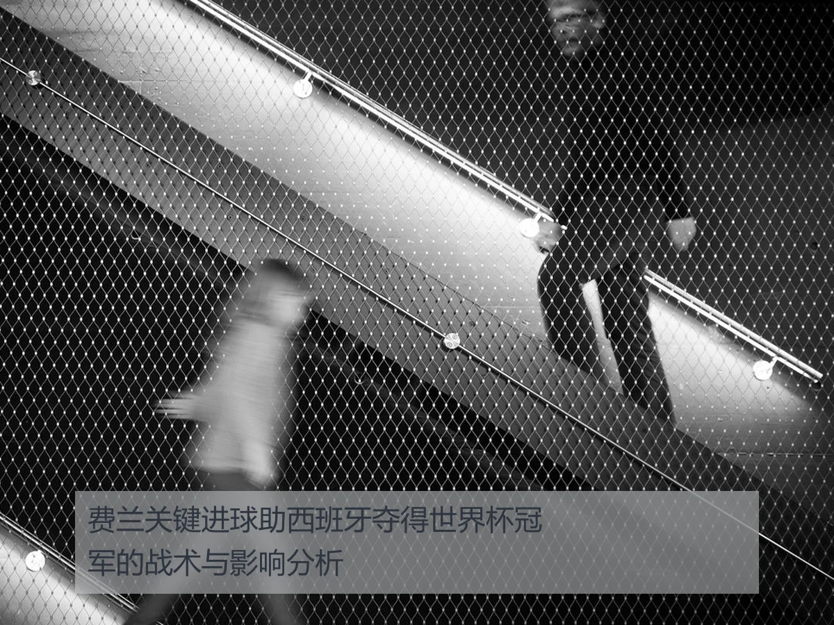 费兰关键进球助西班牙夺得世界杯冠军的战术与影响分析